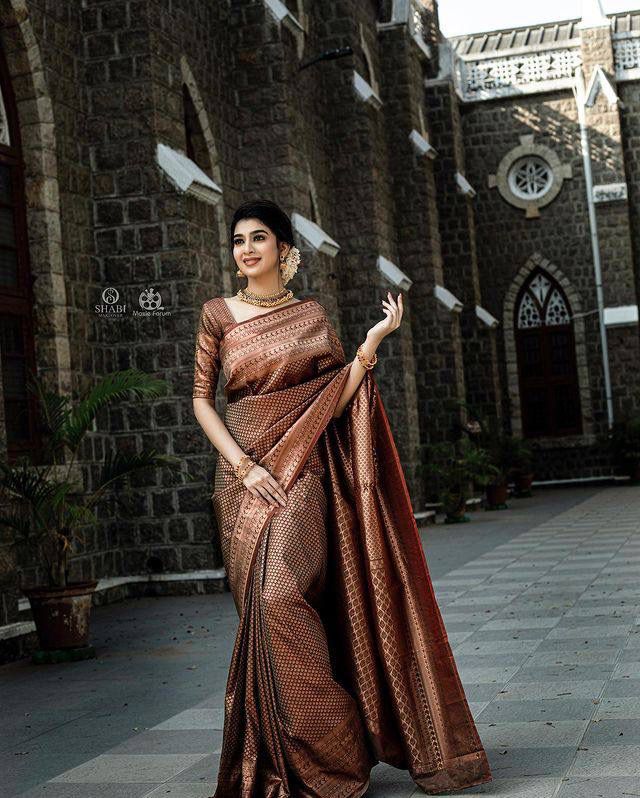 Banarasi Soft Silk Saree – Elegant Copper Zari Weaving
