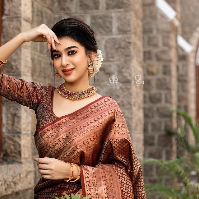 Banarasi Soft Silk Saree – Elegant Copper Zari Weaving
