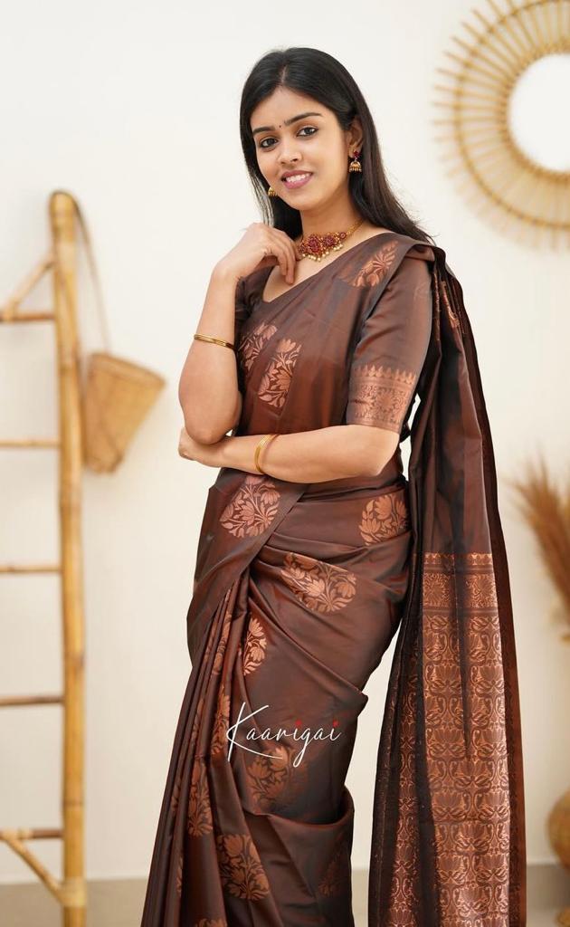 Banarasi Soft Silk Saree with Copper Zari Weaving