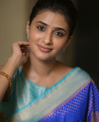 Exclusive Banarasi Soft Silk Sare