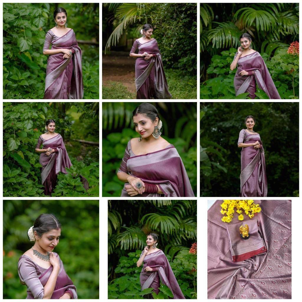Banarasi Silk Saree – Elegant Silver Zari Work & Rich Weave