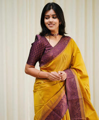 100% Authentic Banarasi Silk Sarees | Exquisite Indian Handloom Weaves