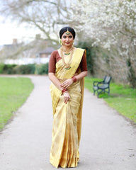 Banarasi Soft Silk Saree – Bridal Elegance