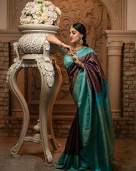 Exclusive Banarasi Soft Silk Saree