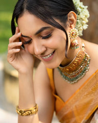 Exquisite Banarasi Soft Silk Sare