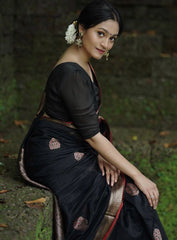 Banarasi Soft Silk Saree with Gold Zari Weaving