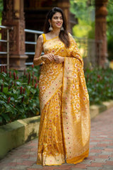 A Saree That Speaks Elegance & Grandeur!