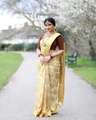 Banarasi Soft Silk Saree – Bridal Elegance