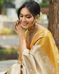 Exquisite Banarasi Soft Silk Sare