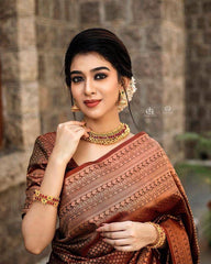 Banarasi Soft Silk Saree – Elegant Copper Zari Weaving