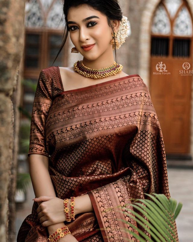 Banarasi Soft Silk Saree – Elegant Copper Zari Weaving